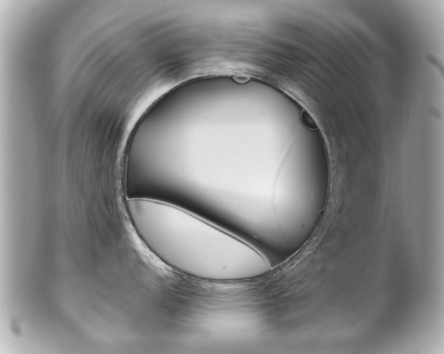 X0000102021152200807180937