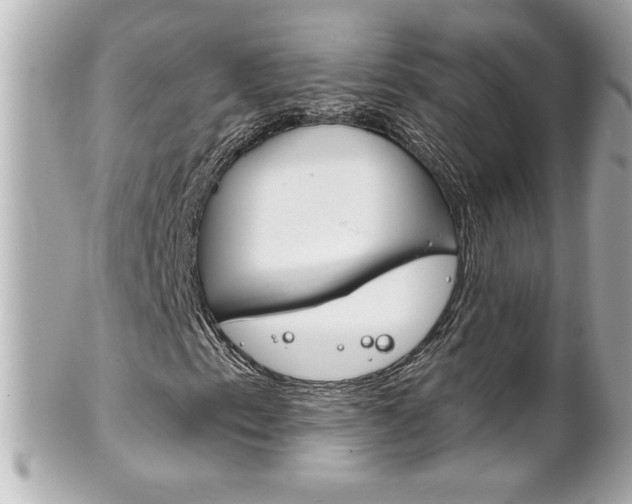 X0000102021153200807180936