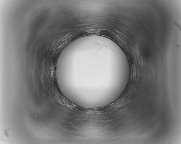 X0000102021154200807180936