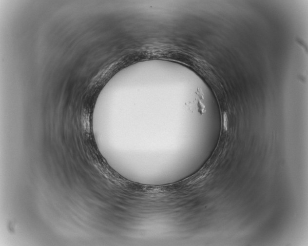 X0000102021155200807180936