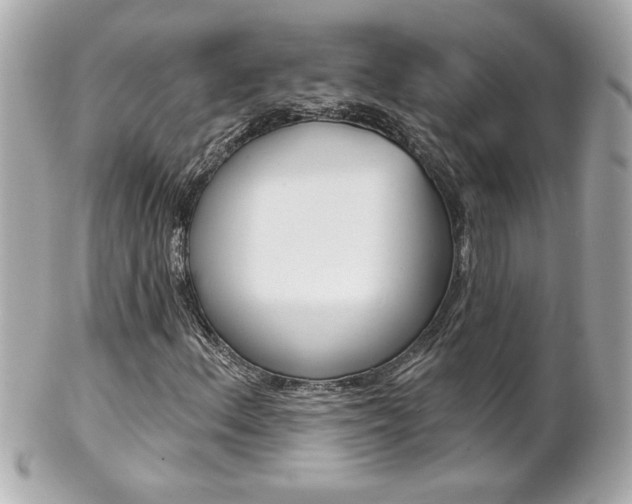 X0000102021156200807180936
