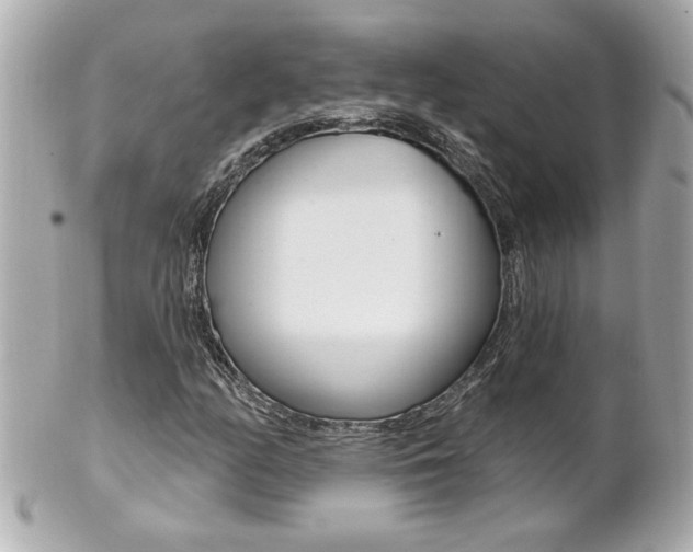 X0000102021158200807180936
