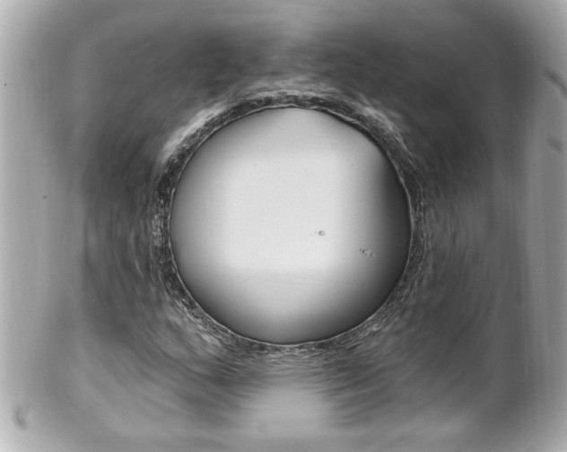 X0000102021159200807180936
