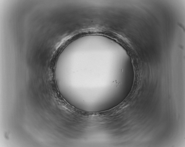 X0000102021160200807180936