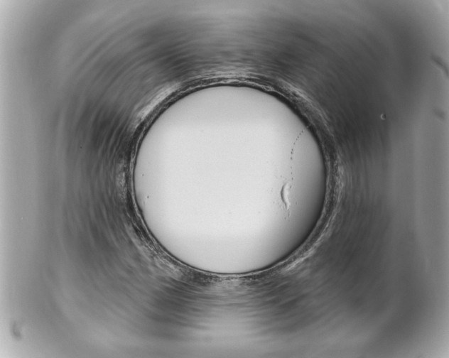 X0000102021162200807180936