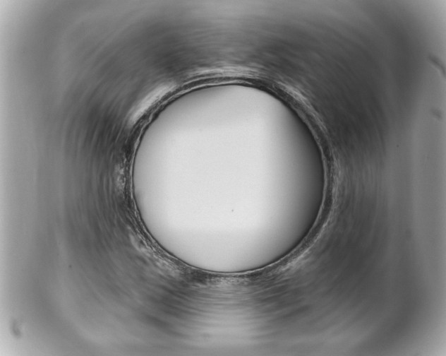 X0000102021163200807180936