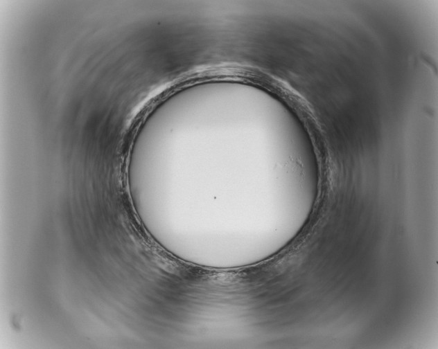 X0000102021166200807180936