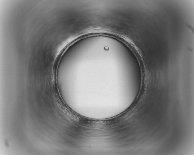 X0000102021167200807180936