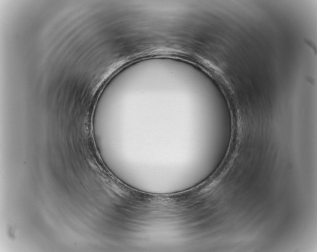 X0000102021170200807180936