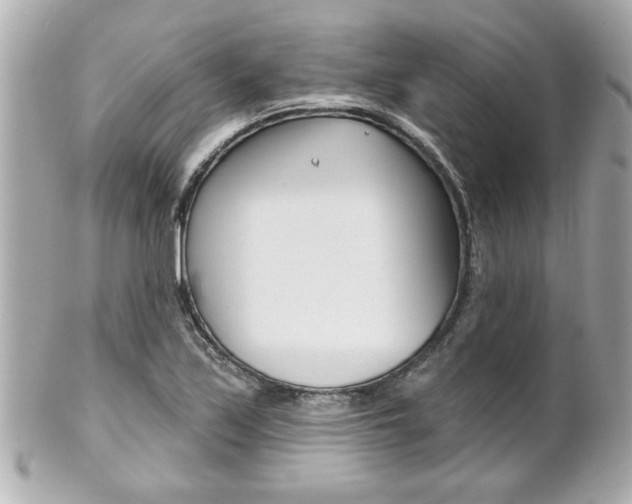 X0000102021171200807180936
