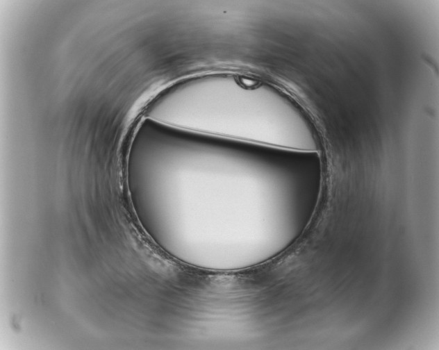 X0000102021172200807180936