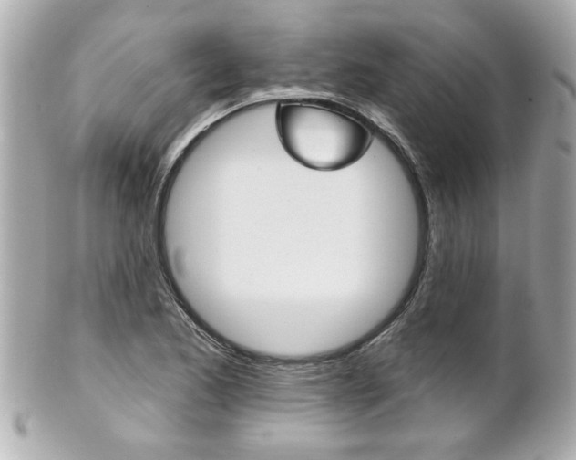 X0000102021173200807180936
