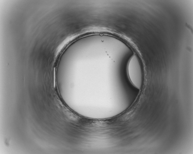 X0000102021175200807180936