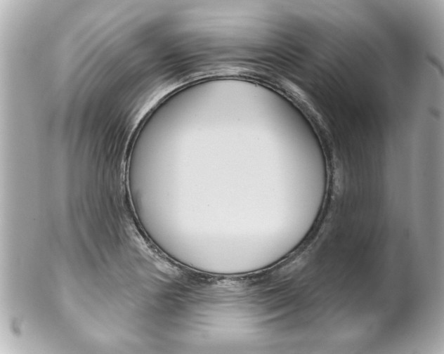 X0000102021178200807180936