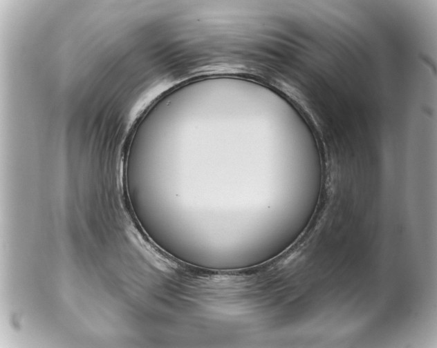X0000102021179200807180936