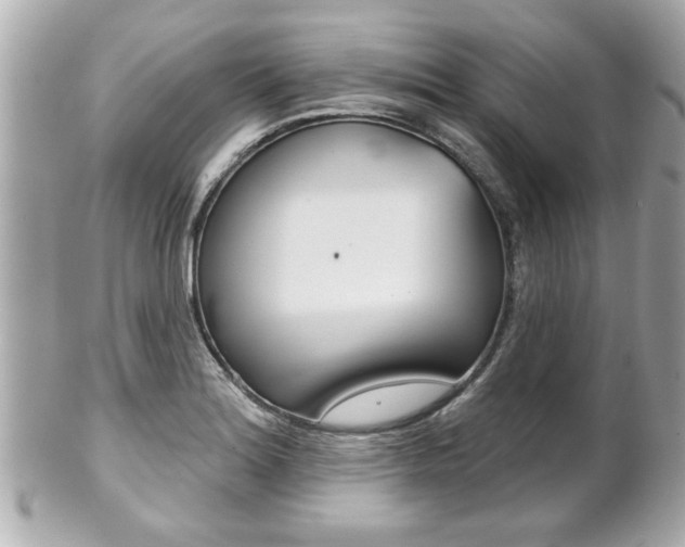 X0000102021180200807180936