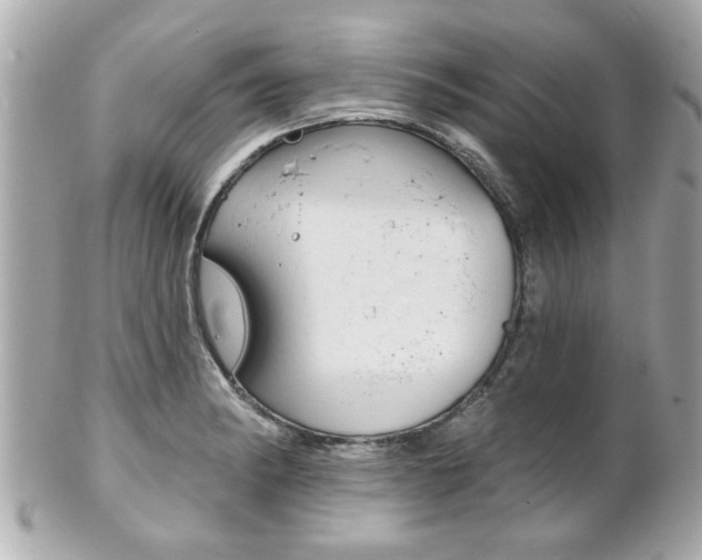 X0000102021182200807180936