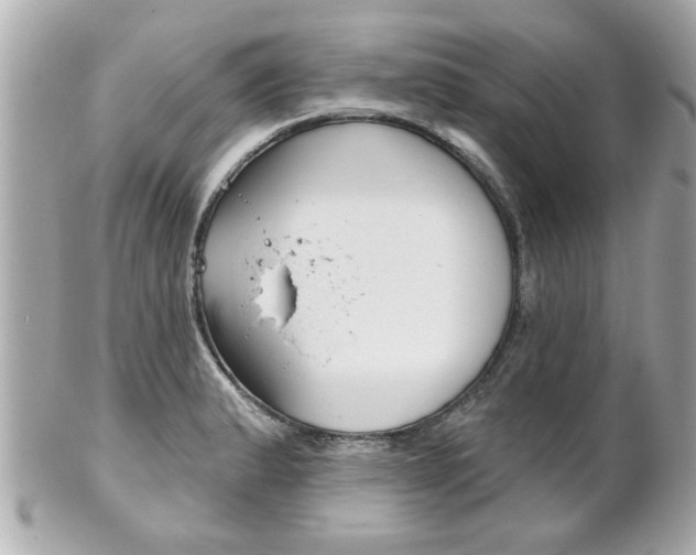 X0000102021183200807180936