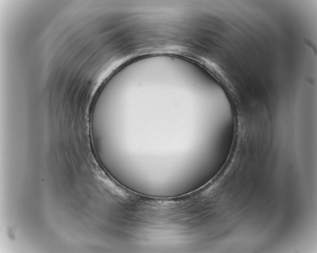 X0000102021184200807180936