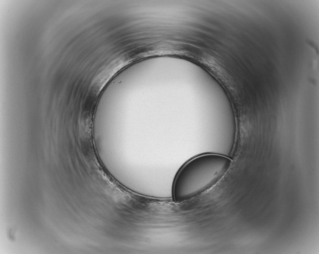 X0000102021185200807180936