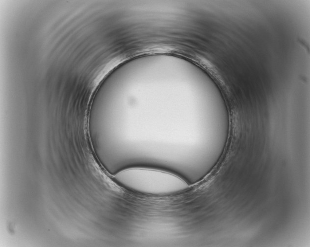 X0000102021186200807180936