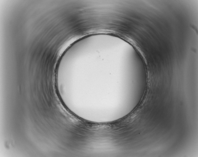 X0000102021187200807180936