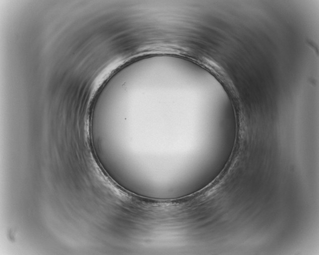 X0000102021188200807180936