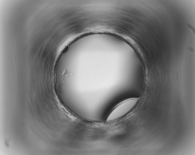 X0000102021191200807180936