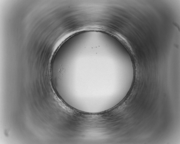 X0000102021192200807180936