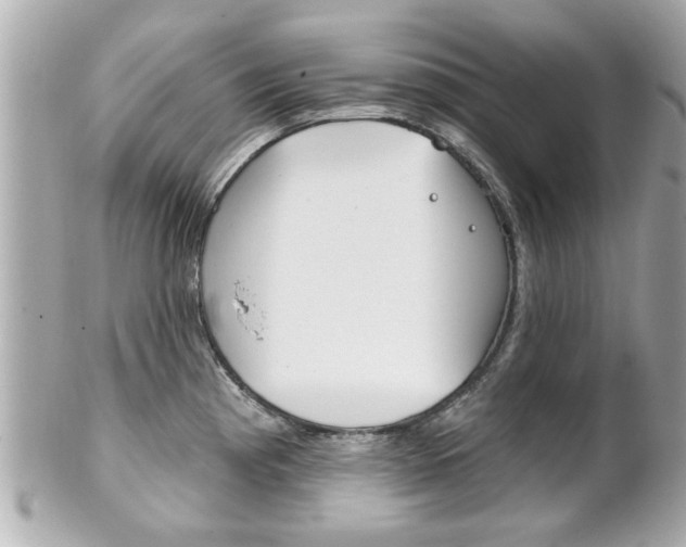 X0000102021193200807180936