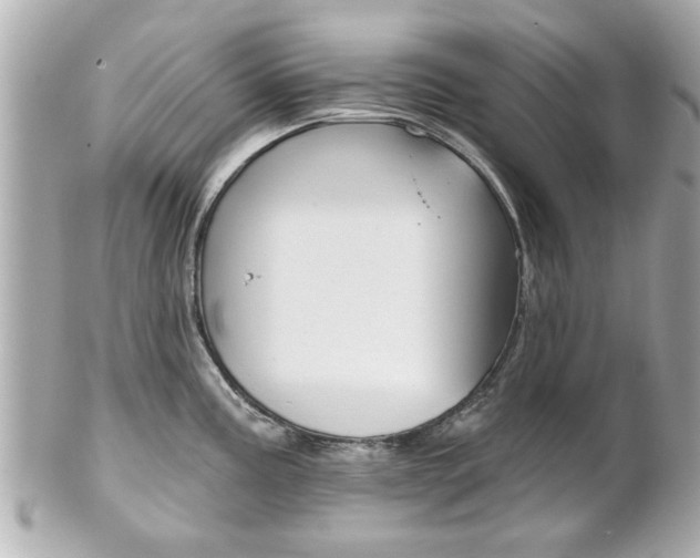 X0000102021195200807180936