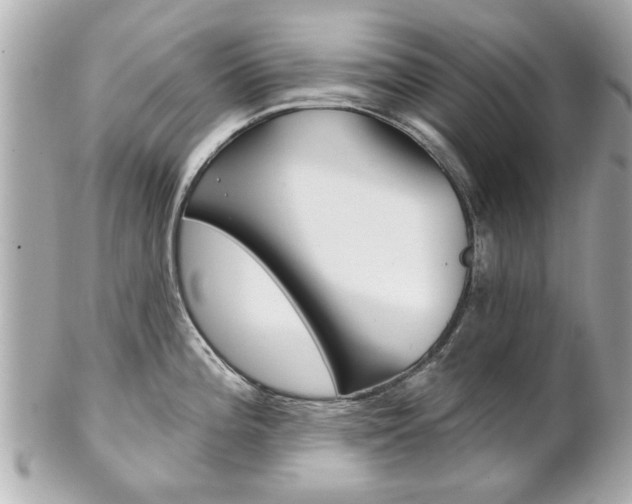 X0000102021196200807180936