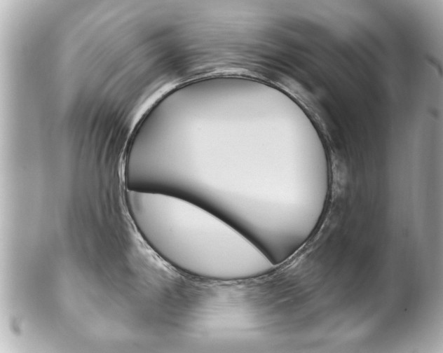 X0000102021198200807180936