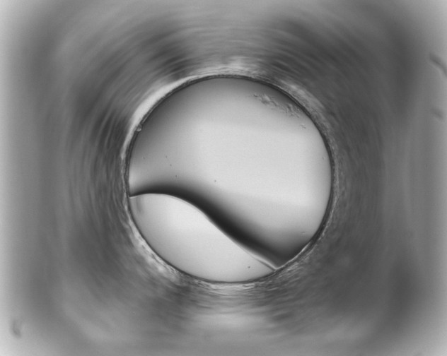 X0000102021200200807180936