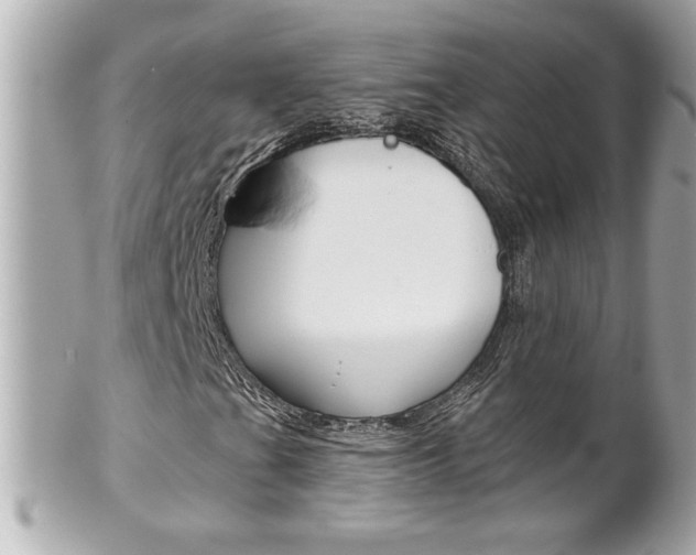 X0000102021201200807180935