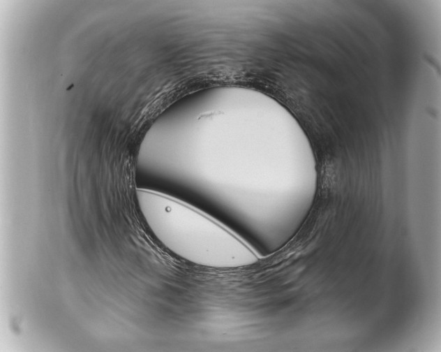 X0000102021202200807180935