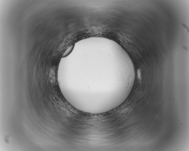 X0000102021203200807180935