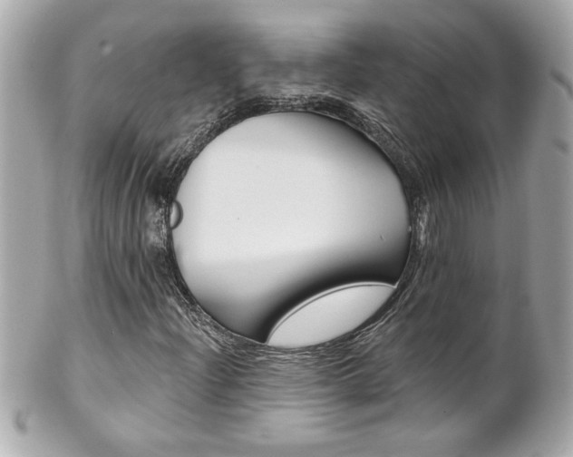 X0000102021204200807180935