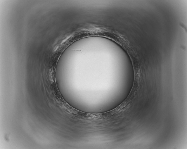 X0000102021205200807180935