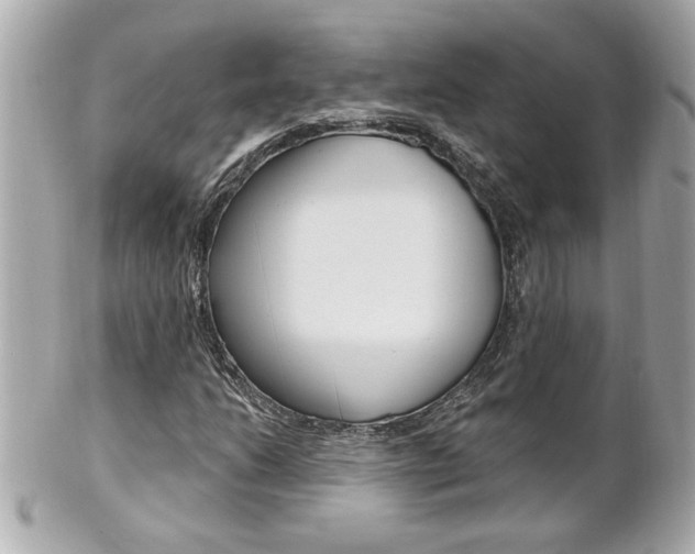 X0000102021206200807180935