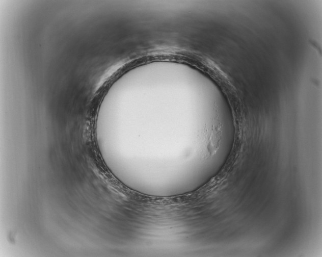 X0000102021208200807180935