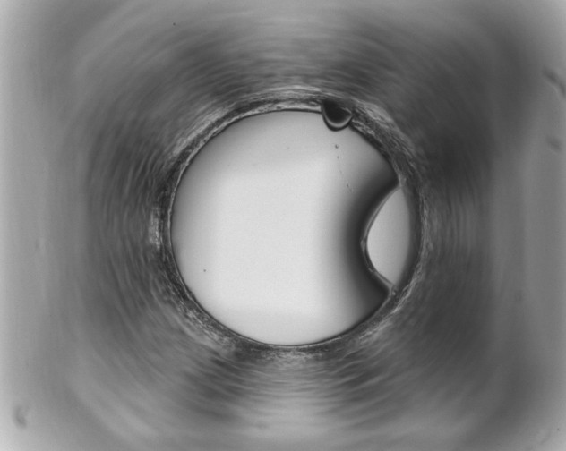 X0000102021209200807180935