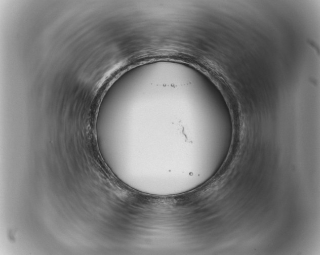 X0000102021210200807180935