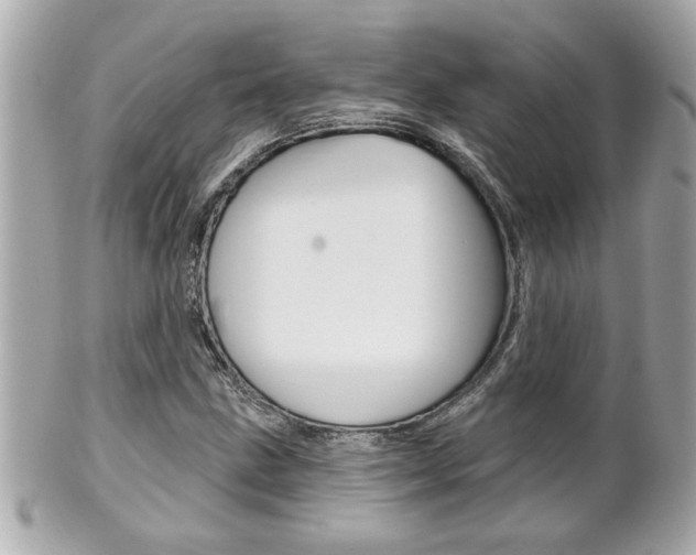 X0000102021211200807180935