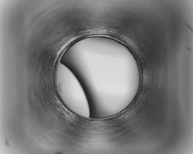 X0000102021212200807180935