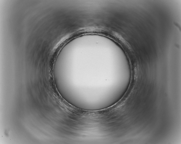 X0000102021213200807180935