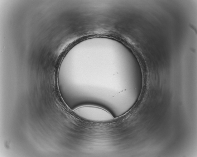 X0000102021214200807180935