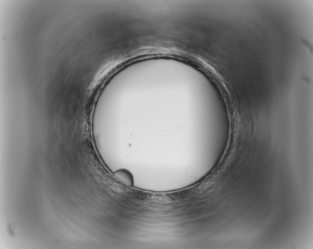 X0000102021215200807180935