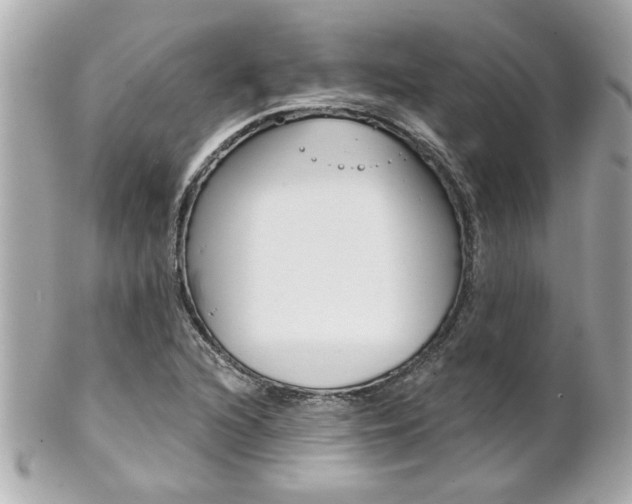 X0000102021216200807180935