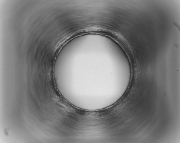 X0000102021217200807180935